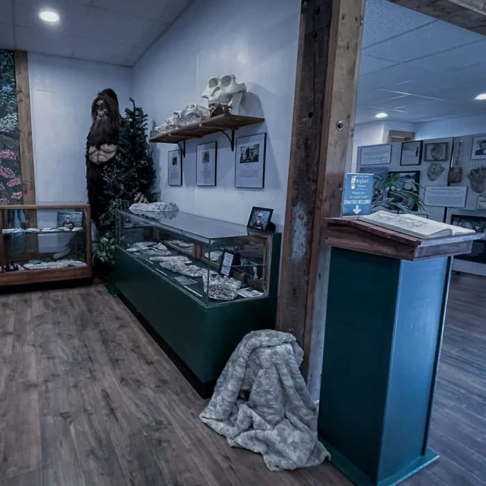 A museum-like exhibit space showcasing cryptozoology artifacts. Display cases contain various specimens, a shelf holds animal skulls, and a Bigfoot model stands near a fake tree. Wooden beams frame the room, which has informational posters and a donation box.