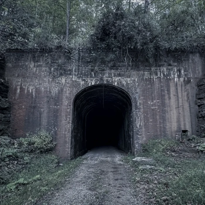 Eerie abandoned railway tunnel entrance overgrown with vegetation, dark opening surrounded by weathered brick walls and dense forest.